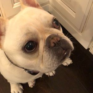 Meet your Posher, Beth